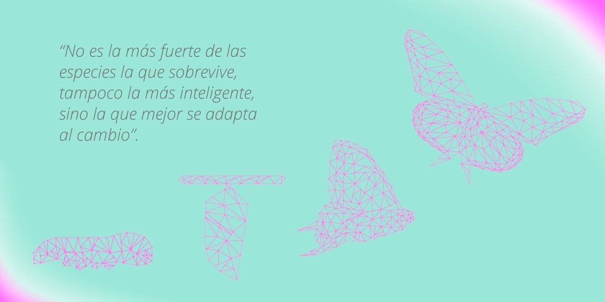 Claves para no quedarse atrás en transformación digital y favorecer la evolución empresarial